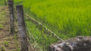 खेत तारबंदी योजना